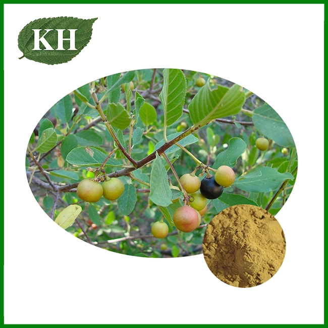 Cascara Sagrada Bark Extract Cascara Sagrada Bark Extract